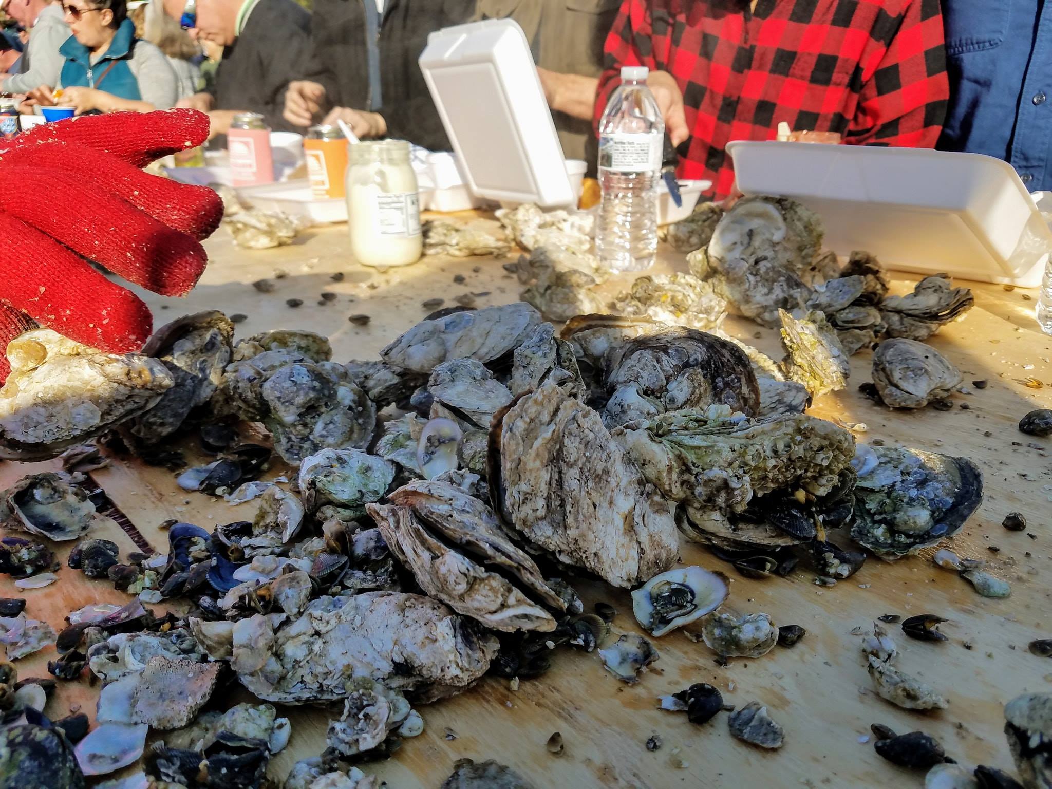 Ocracoke Seafood Company’s Holiday Oyster Roast Event